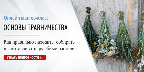 Основы травничества