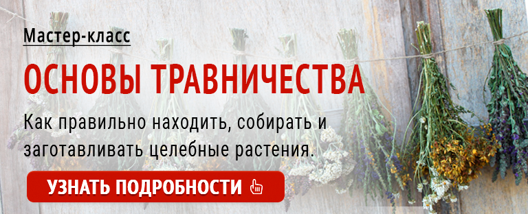 основы травничества